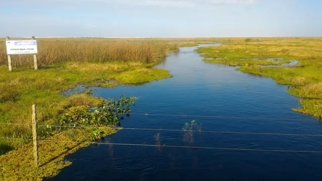 Lagoa do Peixe National Park