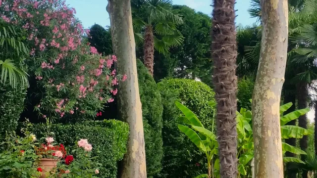 La Seigneurie de Maubourguet