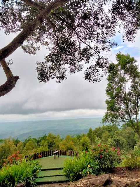 Hutan Pinus Mangunan