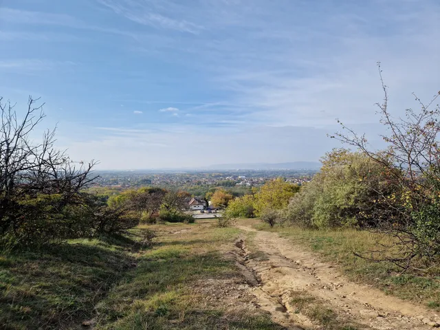 place image