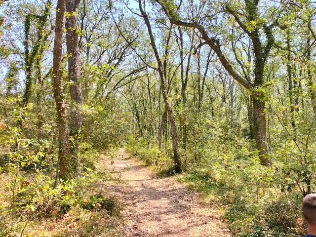 Area Naturale Bosco Selva - Alberobello