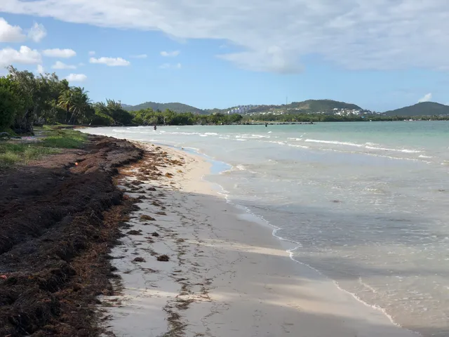 Medio Mundo y Daguao