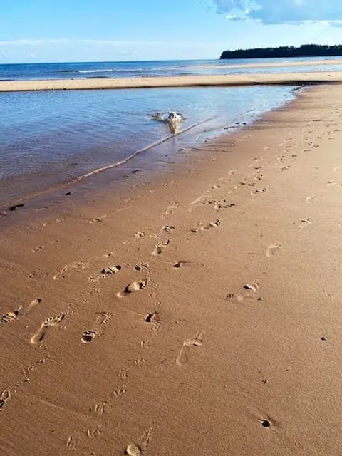 Little Harbour Beach