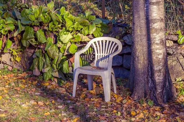 The Forbidden Corner