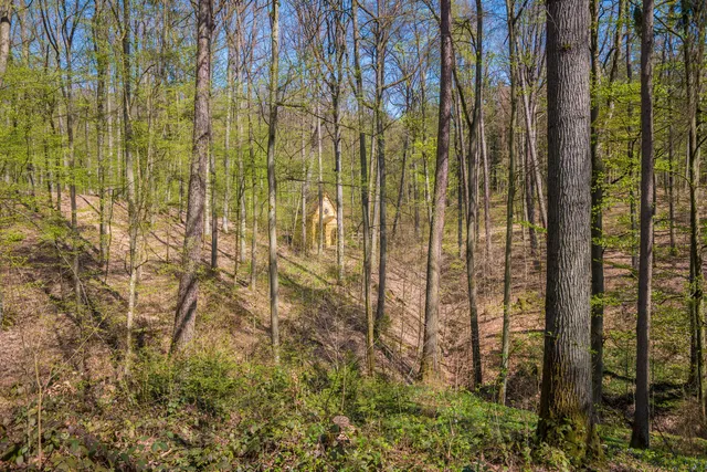 Landschaftspark Bettenburg