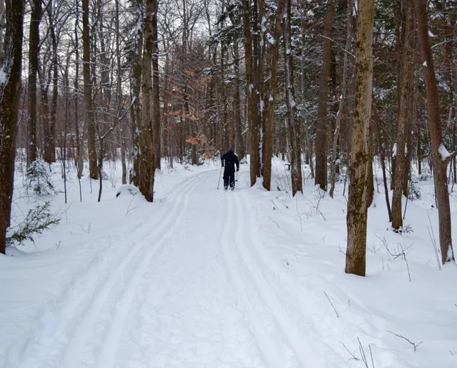 Boisé des Compagnons-de-Cartier