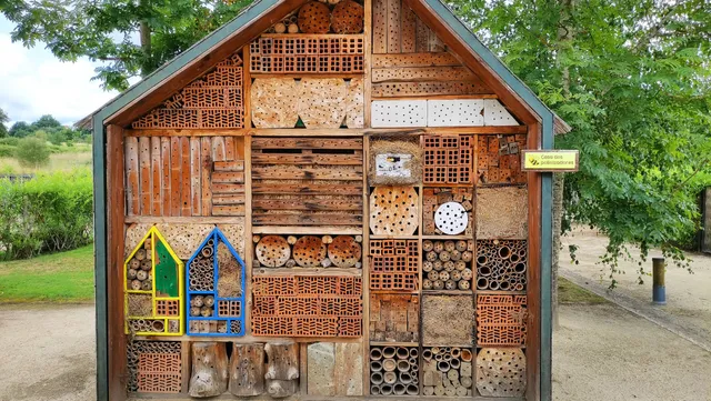 Festival Internacional de Xardíns de Allariz