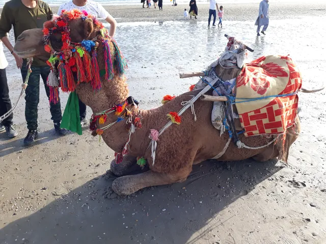 Ghadir Beach and Camp