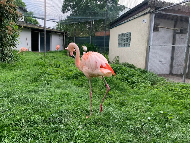 Bird Park Linkenheim