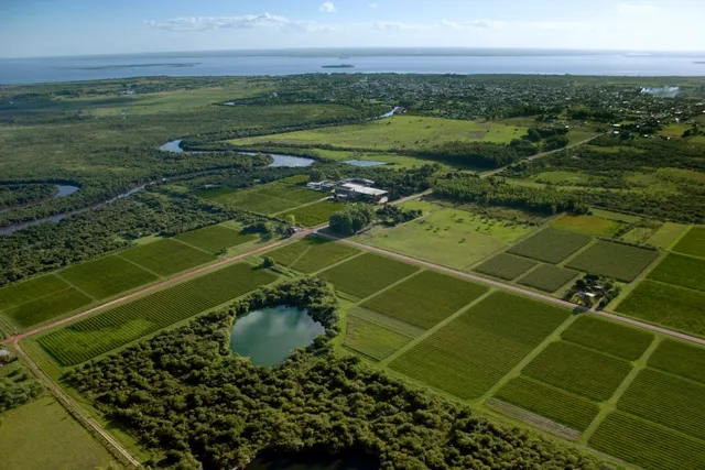 Bodega Familia Irurtia