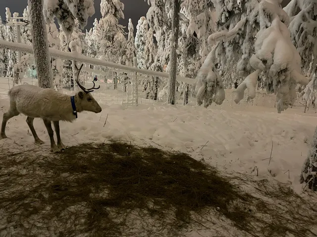 Rosa & Rudolf Familypark