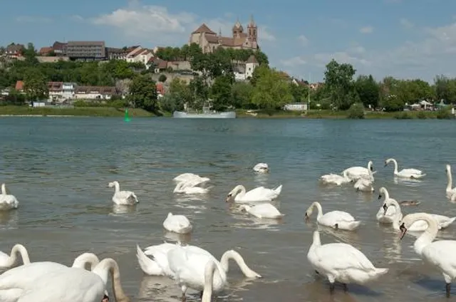 Breisacher Münster St. Stephan