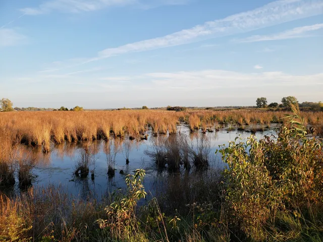 Pipe Creek Wildlife Area - Sandusky