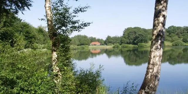 Maiglöckchensee