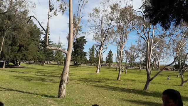 Distrito Rodeo del Medio