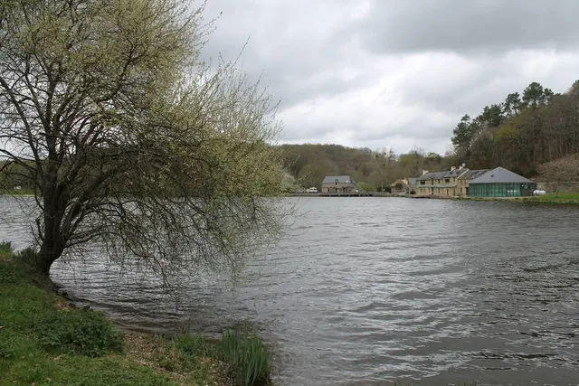 Étang du Moulin Neuf