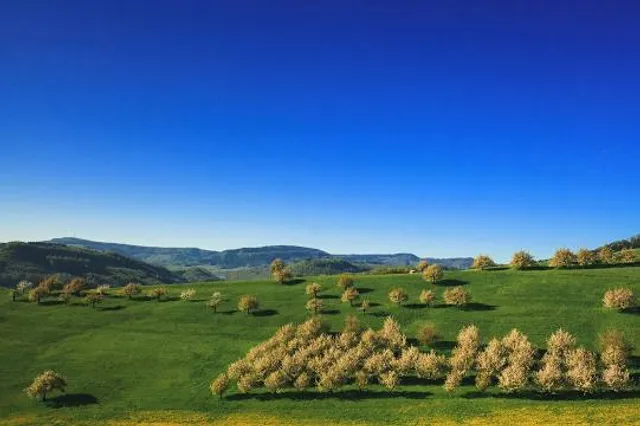 Start Fricktaler Chriesiwäg