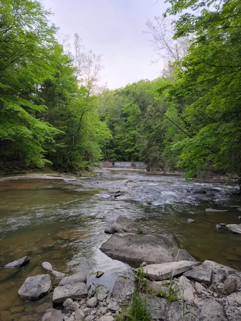 Mulholland Wildflower Preserve