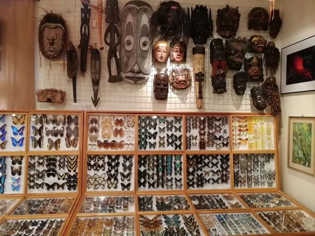 Butterfly Museum Foundation, Újpest