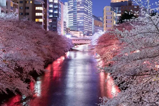 Meguro River