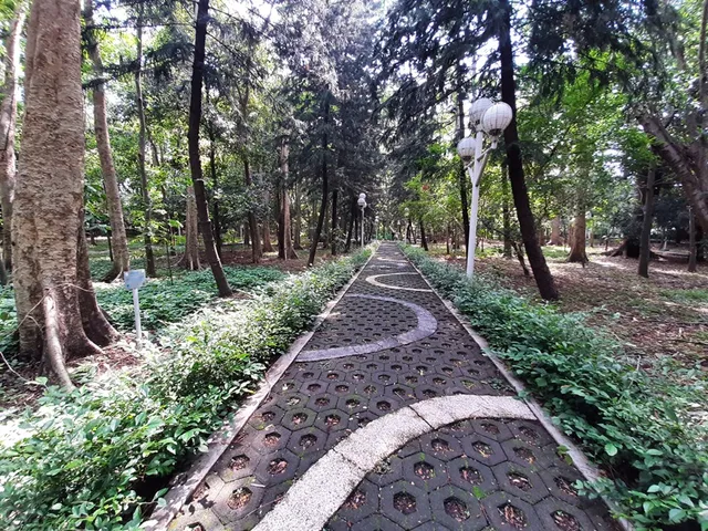 Malabar City Forest
