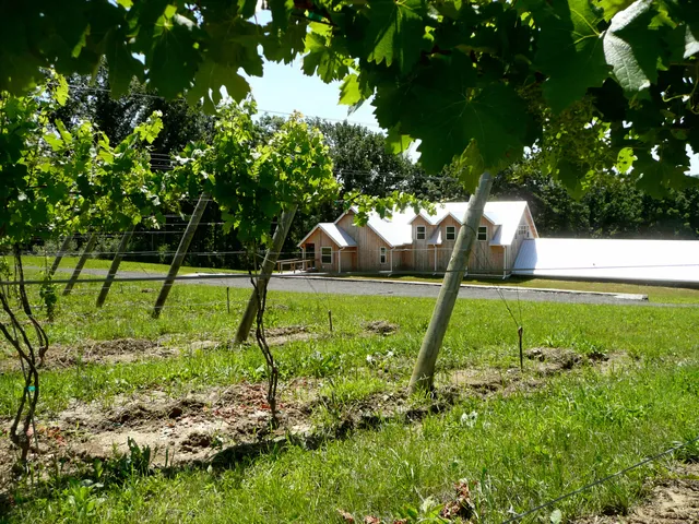 Silver Crest Cellars