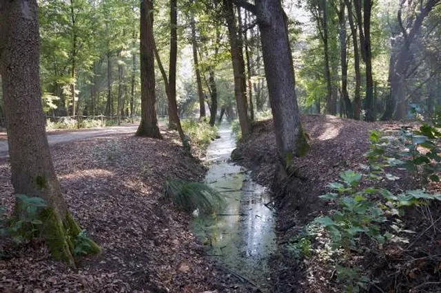 Riserva Naturale Bosco della Mesola
