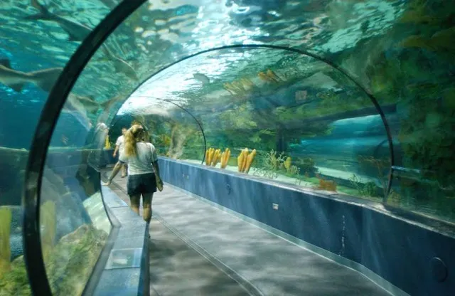 Ripley's Aquarium of Myrtle Beach