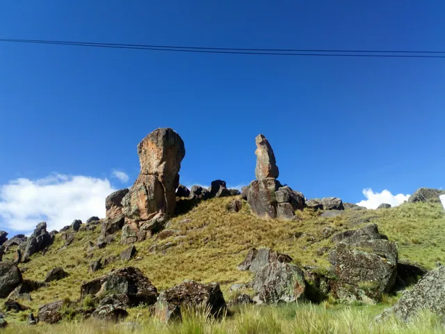 Bosque de Piedra de Sachapite