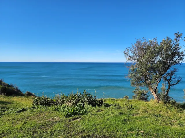 Forest walk to Sublime Point track