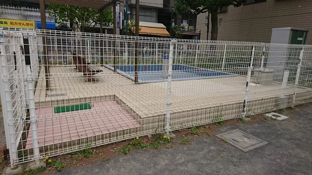 photo-2