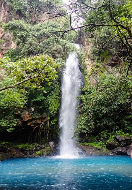 Oropendola waterfall