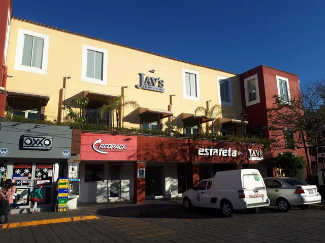 Las Mejores Guacamayas de Guanajuato