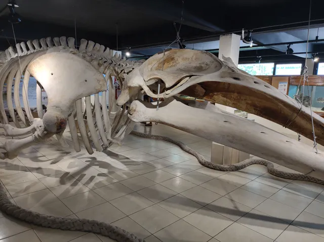 Museu de Ciências Naturais - MUCIN/CECLIMAR/UFRGS