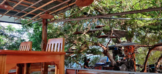 Tree House Bar & Restaurant