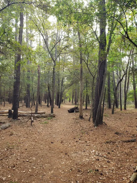 Bear Creek to Langham Creek Trail