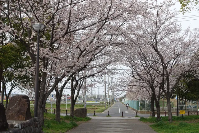 Shindo Otsukayama Park