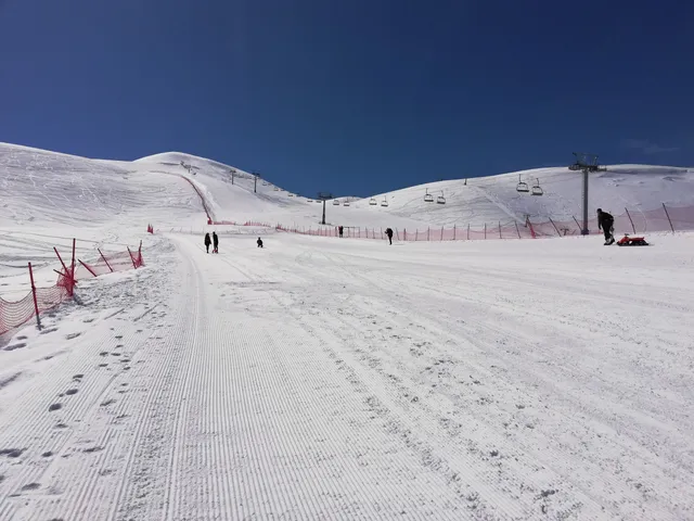 Bingol Ski Center of insects