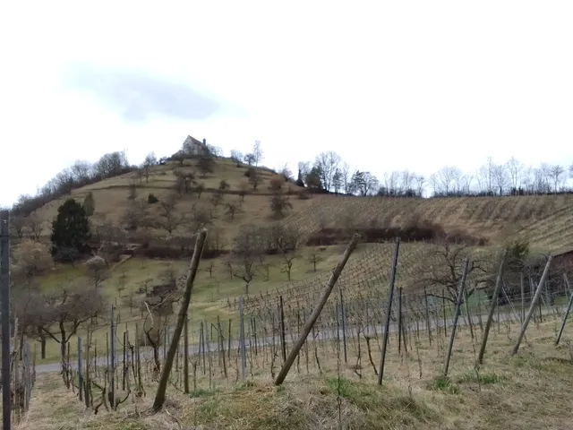 Hirschauer Spitzbergwegle