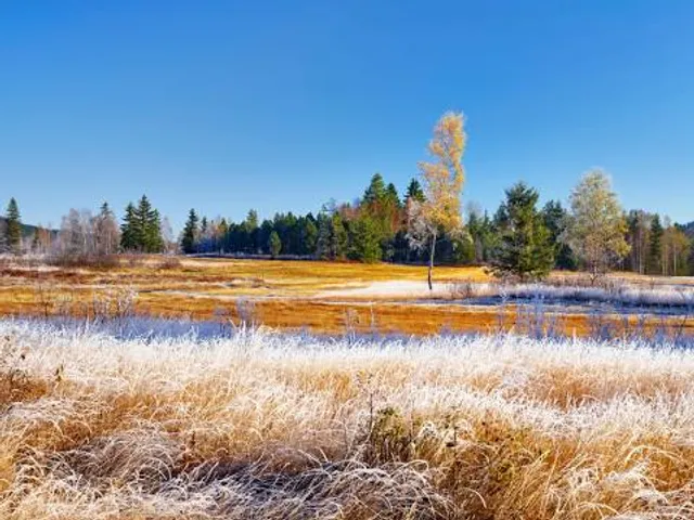 Hochmoor Rothenthurm