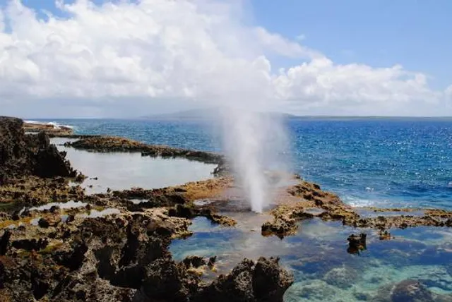 The Blowhole