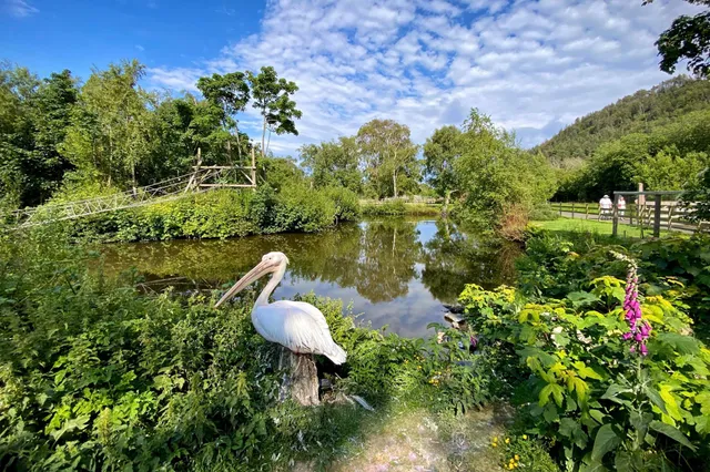 Curraghs Wildlife Park
