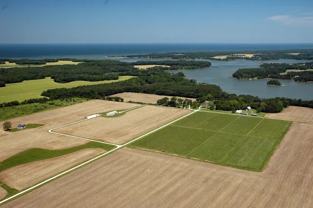 Chatham Vineyards & Winery