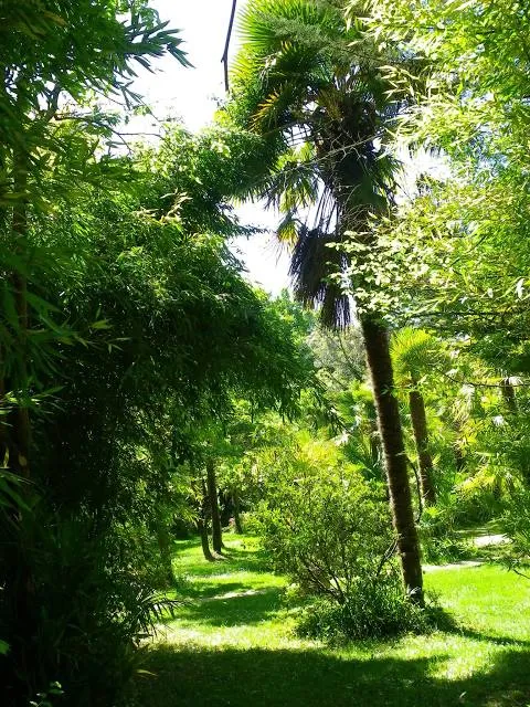 Palmeraie du Sarthou