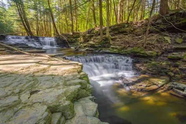 Salt Springs State Park