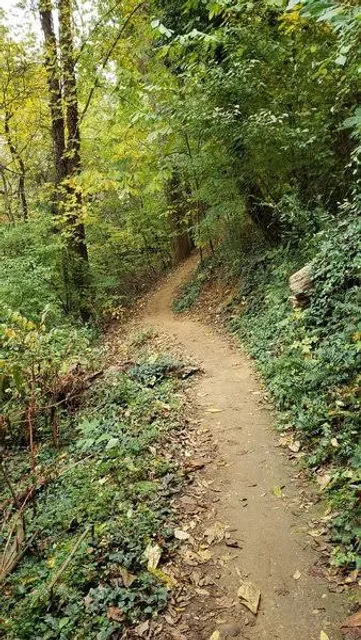 Buttermilk Trail
