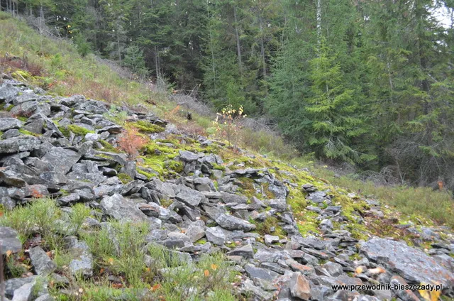 Rezerwat przyrody Gołoborze