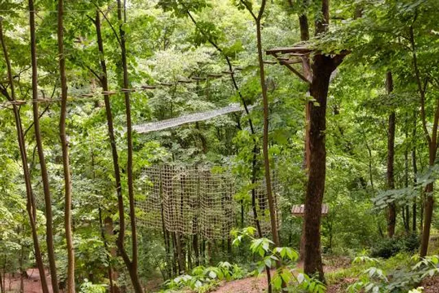 Adrenaline Family Adventure Park