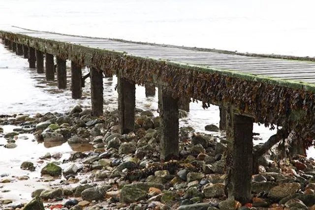 Plage de baignade de Westkapelle