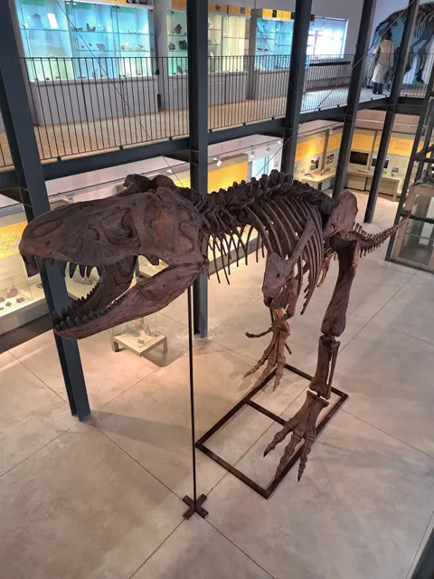 PAS - Museo dei Paleoambienti Sulcitani “E. A. Martel”